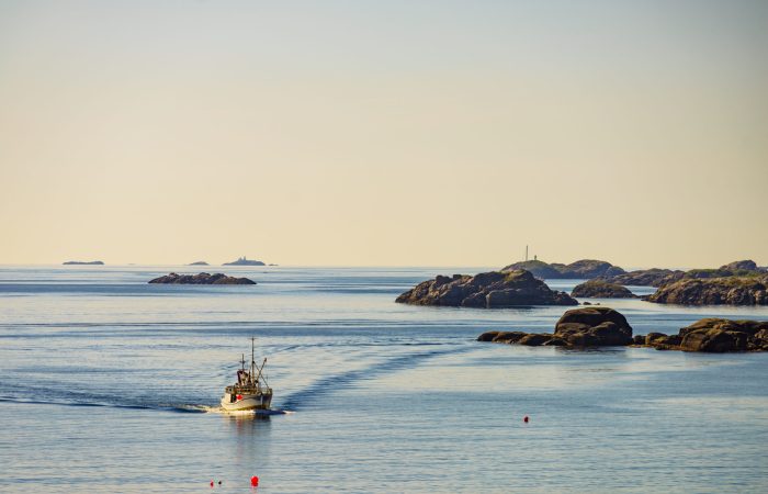 SMB Norge mener at kystens gründere fortjener rammevilkår som stimulerer til innovasjon, sunn bedriftsdrift og personlig eierskap over egen inntjening. Foto: AdobeStock