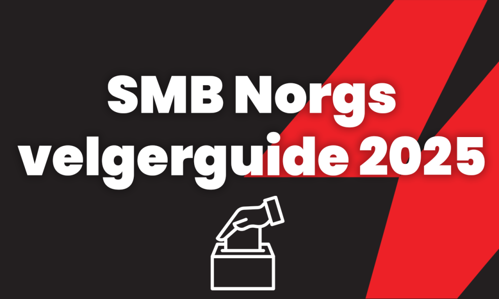 Velgerguide 2025 grafikk