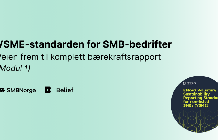 Bilde VSMEmodul 1