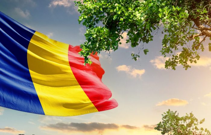 Romania,National,Flag,Waving,In,The,Sky,Behind,The,Tree.